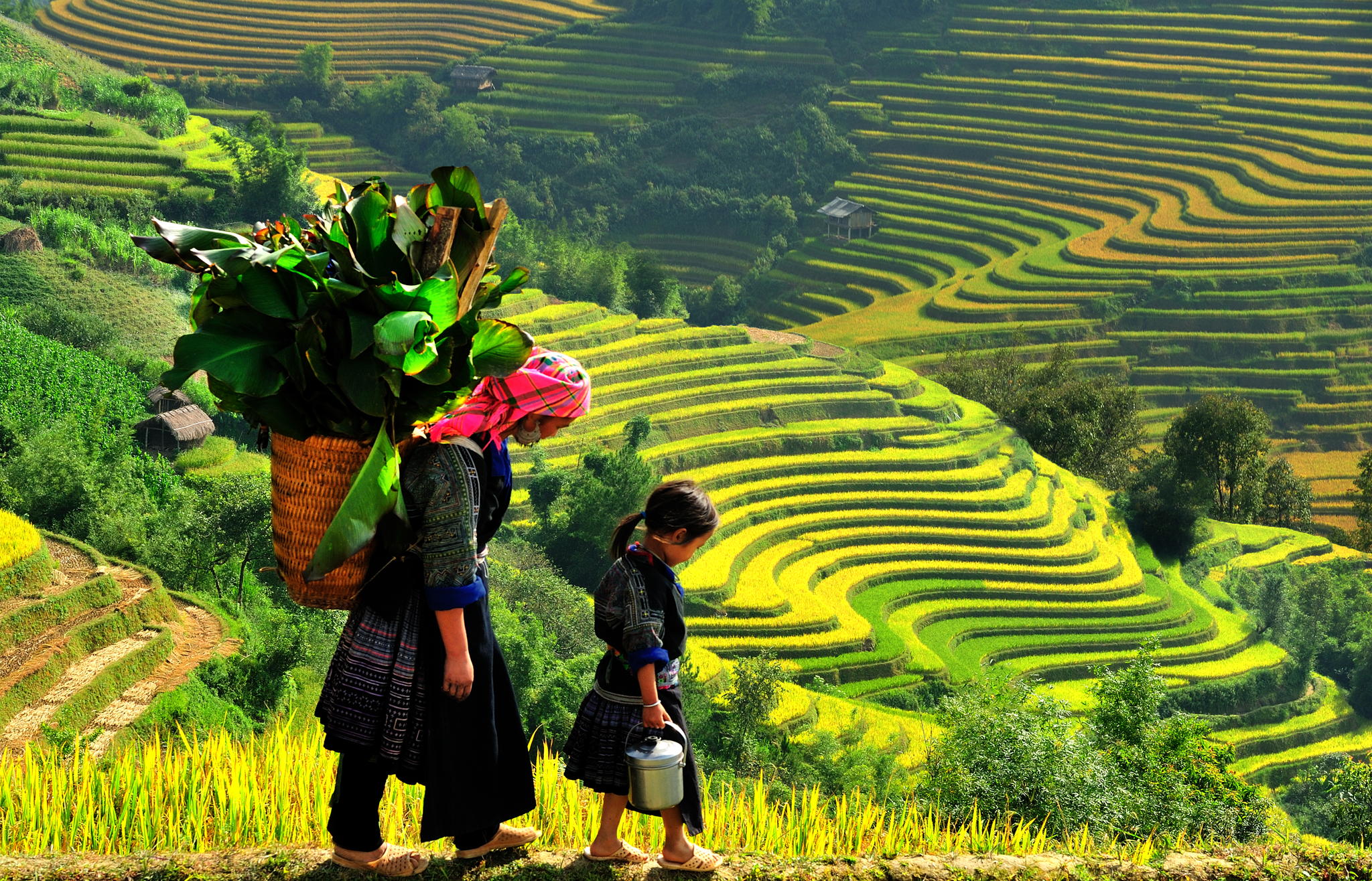 The way to Sapa is not difficult, you can choose to take a private car or a bus