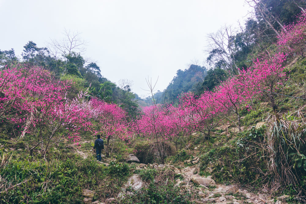 Mẫu Sơn