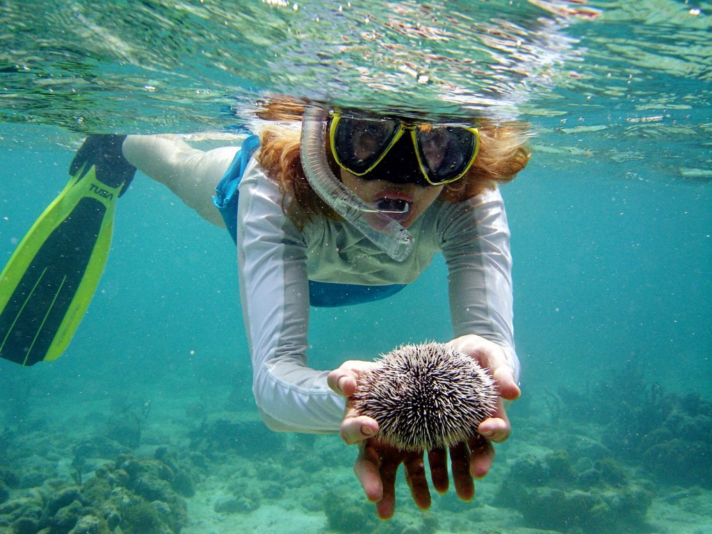 Koh Phi Phi