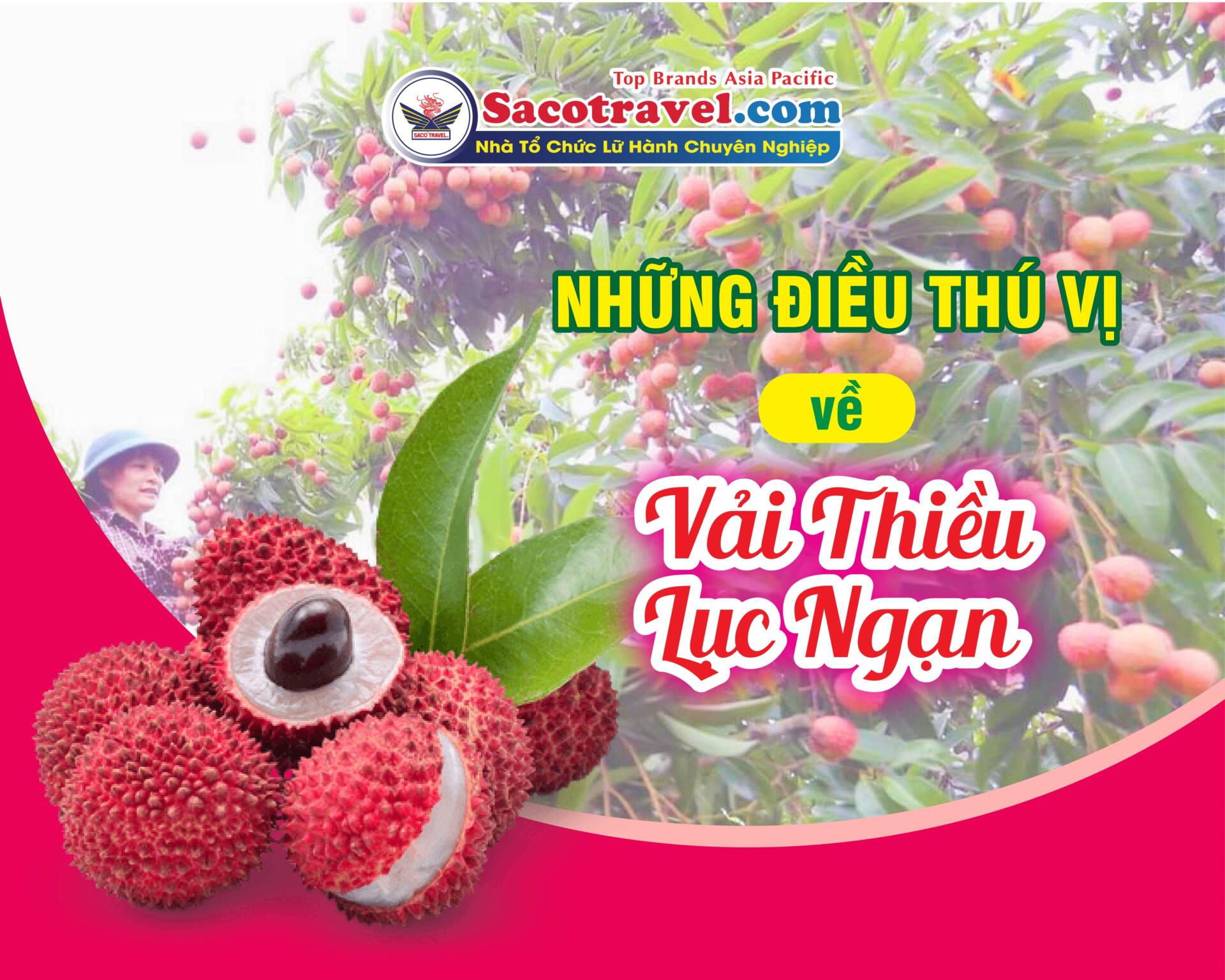vải thiều lục ngạn