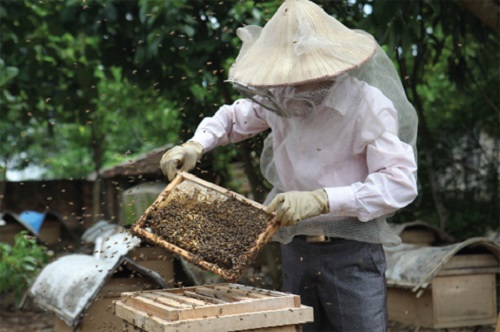 kiểm tra chất lượng mật ong tại thái nguyên