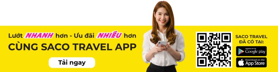 tải app saco travel