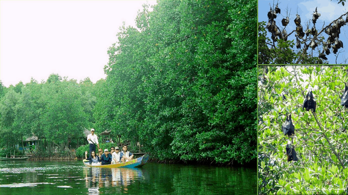 diem vui choi gan sai gon