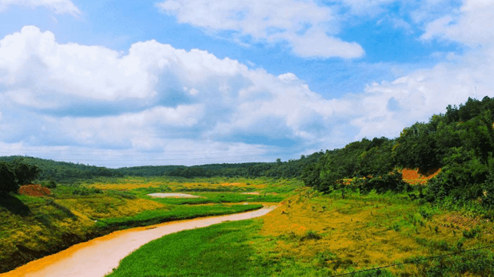 Trảng cỏ Bù Lạch