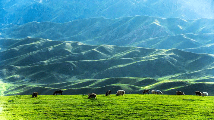 tân cương