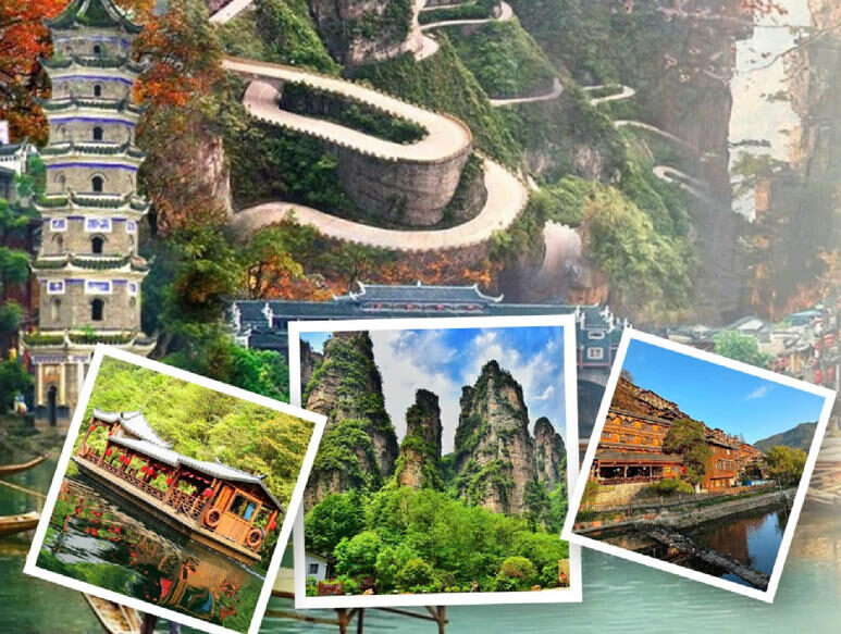 PHƯỢNG HOÀNG CỔ TRẤN