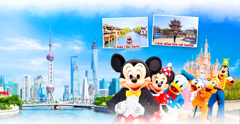tour disney