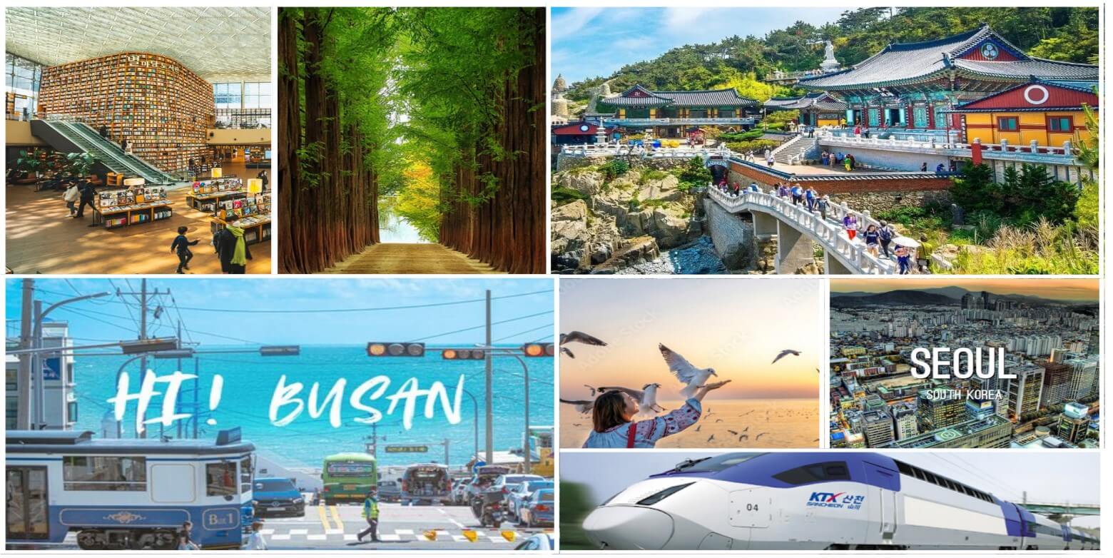 busan 2